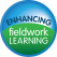 Enhancing Fieldwork Learning